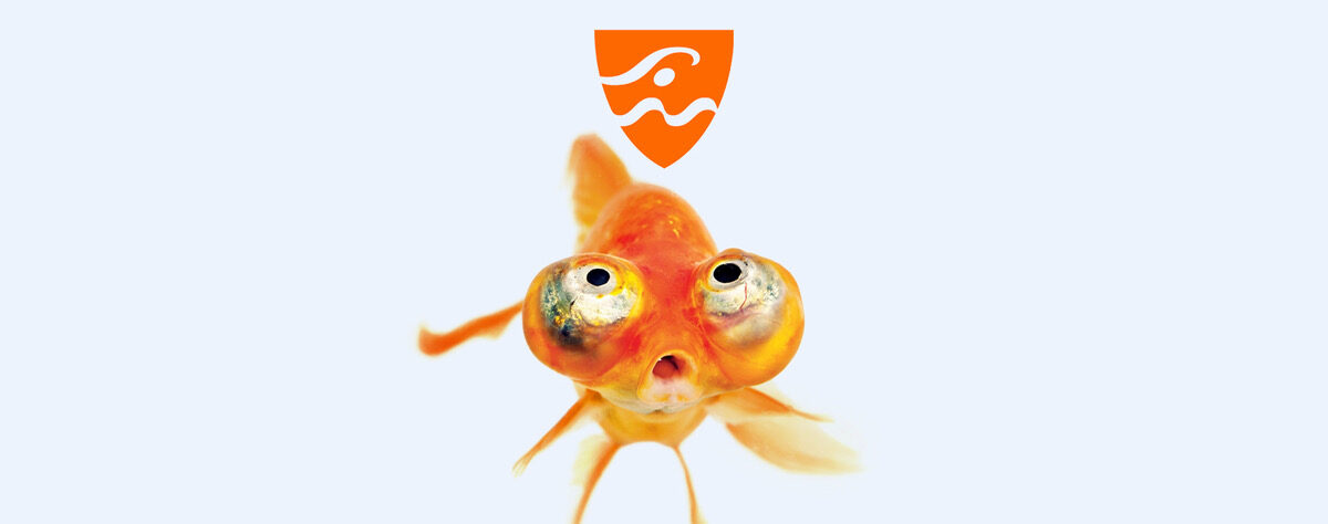 Bannière Sévenne Natation Facebook